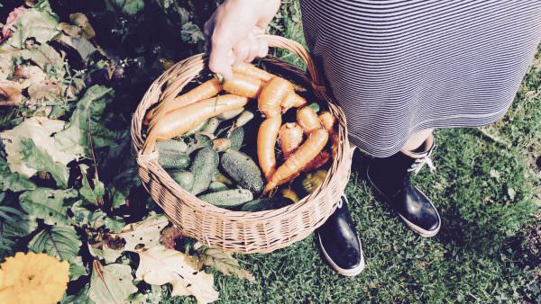 Seasonal Workshops