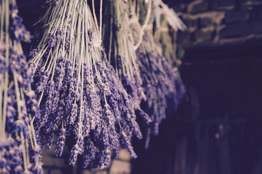 bigstock-Dried-lavender-hanging-beauti-191926978_CFP