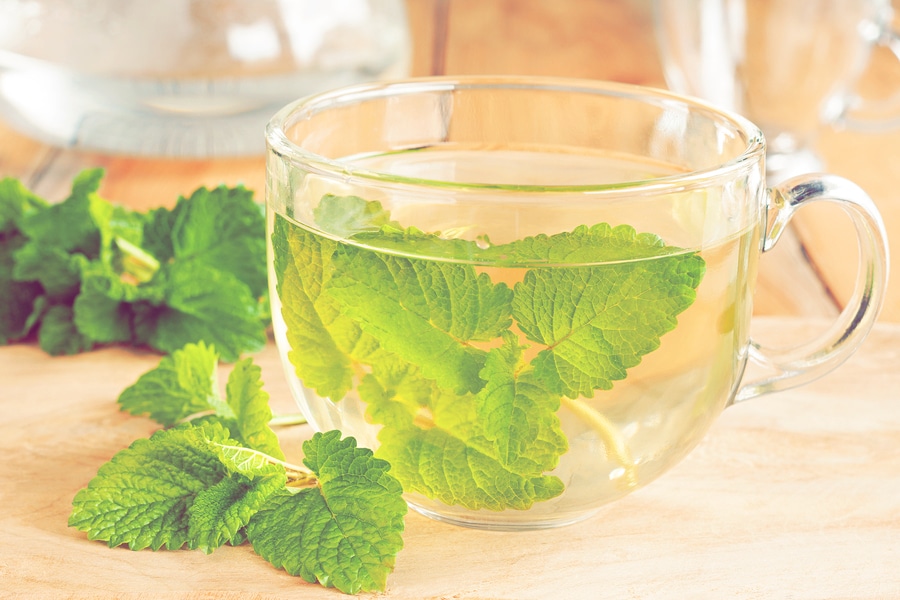bigstock-Melissa-Tea--Hot-Water-Poured-194148613_CFP
